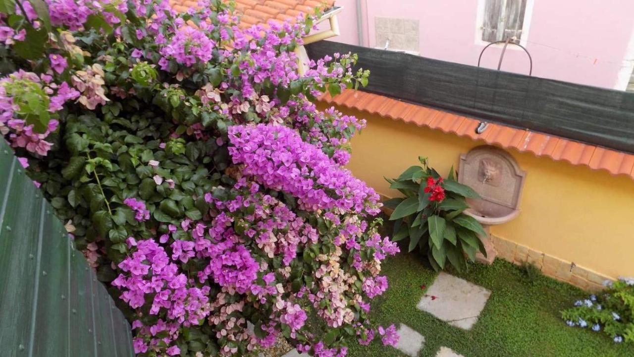 House Justina Villa Zadar Exterior photo