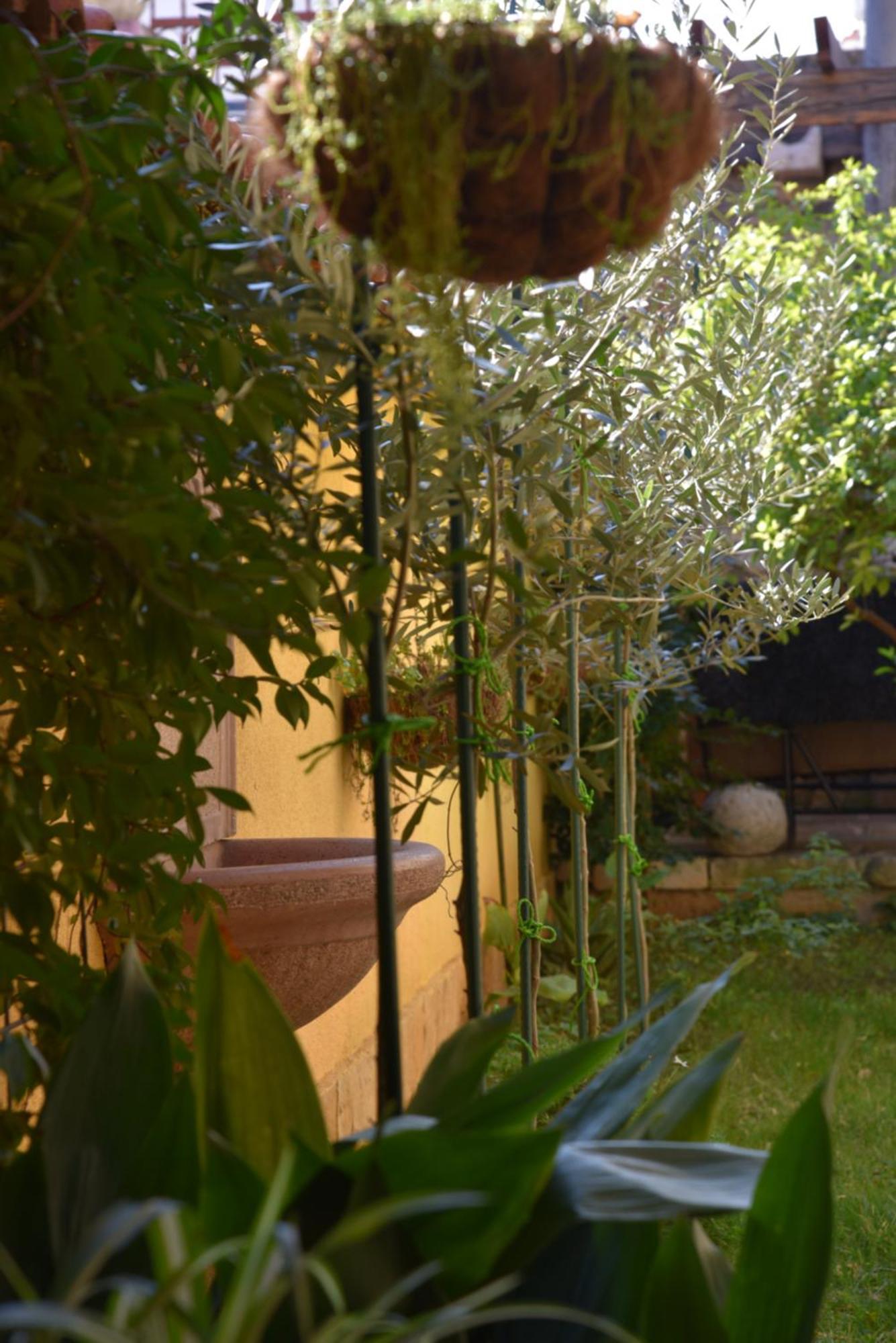 House Justina Villa Zadar Exterior photo