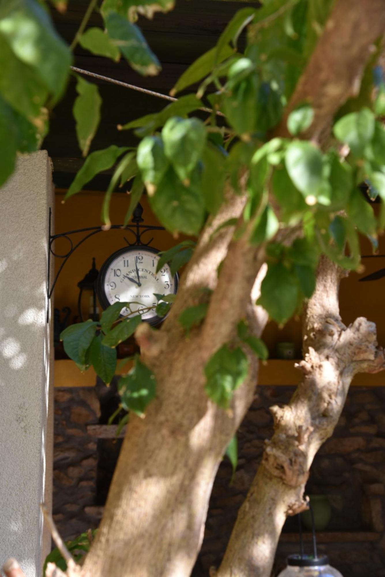 House Justina Villa Zadar Exterior photo